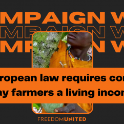 Campaign win living income CSDDD